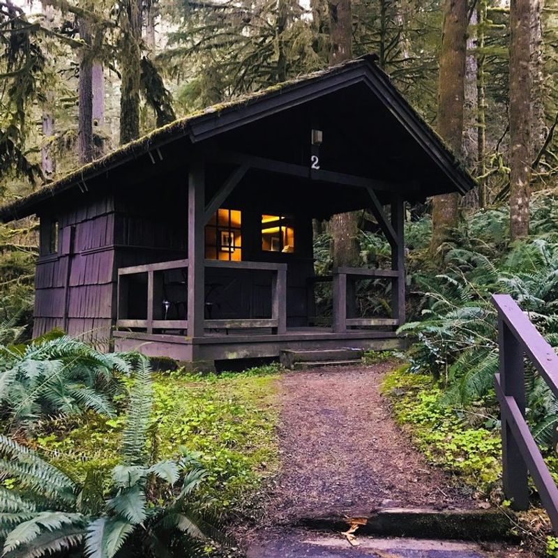 Forest Floor Compaction in Silver Falls State Park