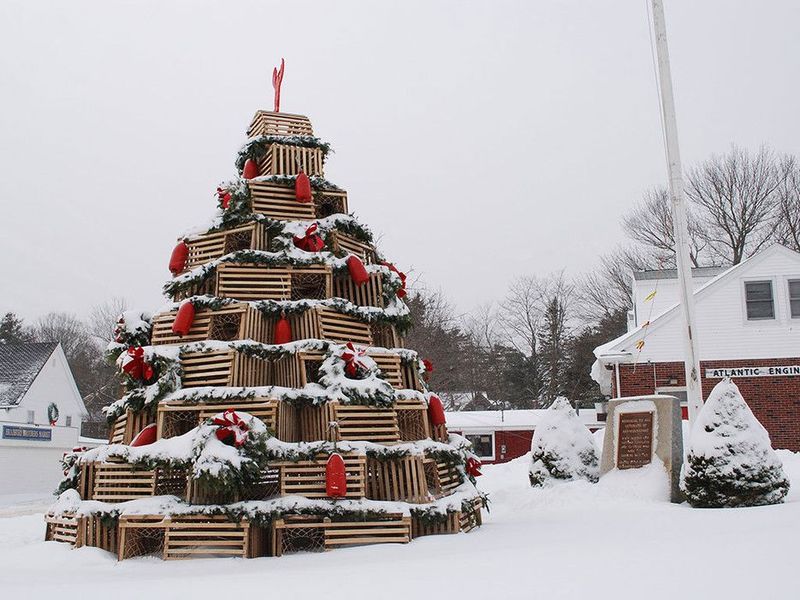The Famous Lobster Trap Christmas Tree
