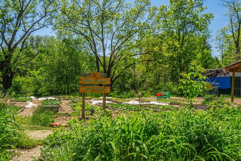 Urban Prairie Ecosystems