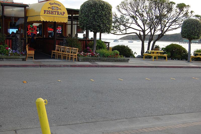 Barbara’s Fishtrap, Half Moon Bay