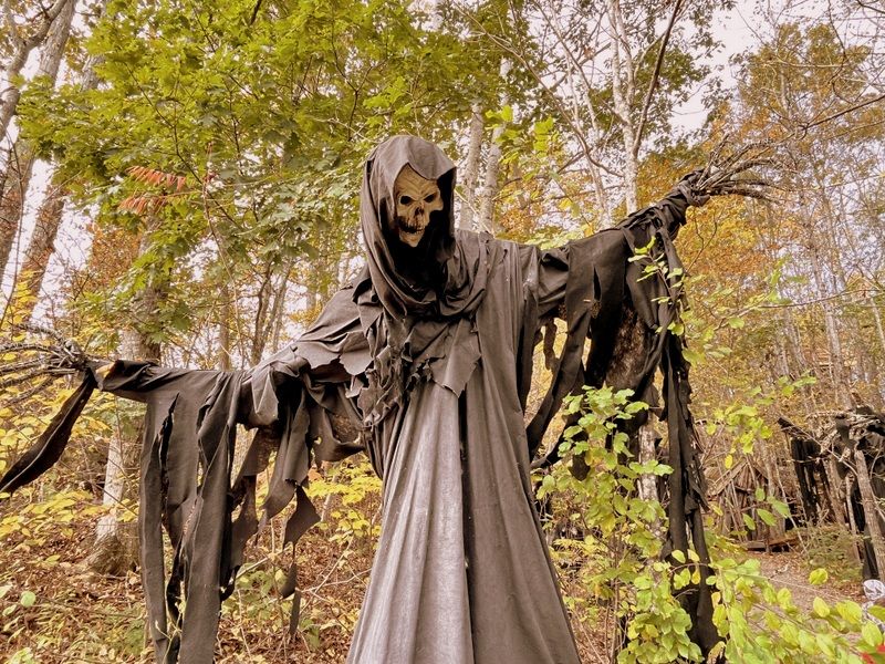 Real Visitor Experiences and Ghost Stories