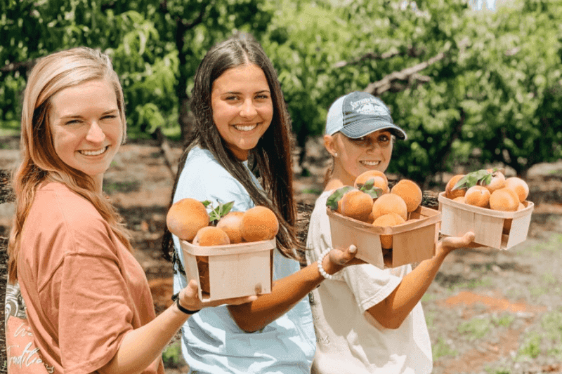 It Tastes Just Like Grandma's – Only Better