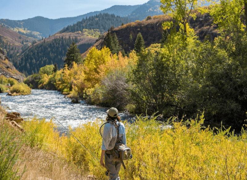 Perfect Stop for Aspen and Roaring Fork Valley Explorers