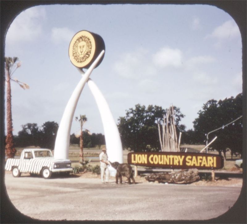 Lion Country Safari