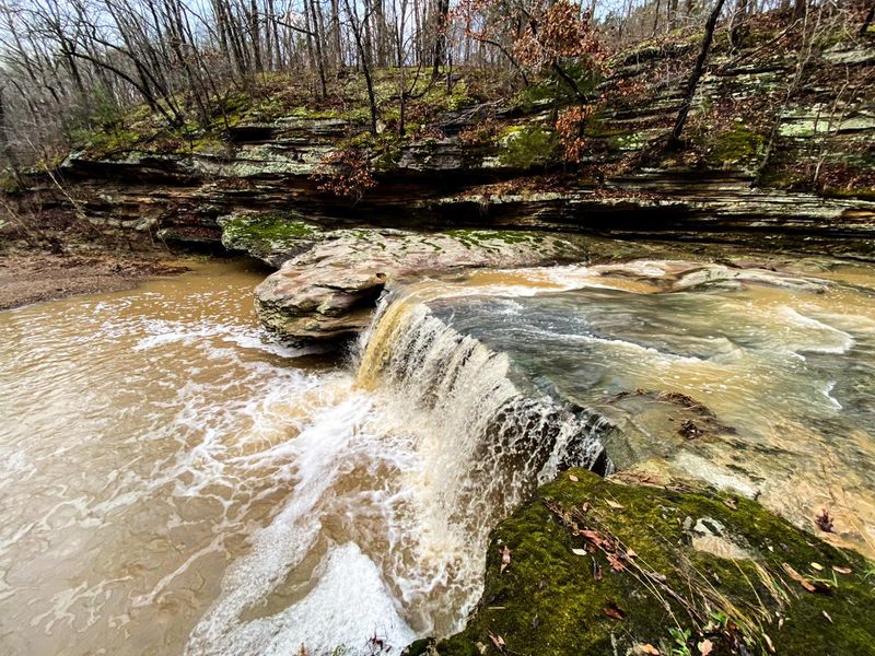 Rauchfuss Hill State Recreational Area - southern Illinois