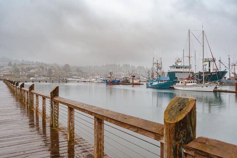 A Harbor Built on History and Mystery