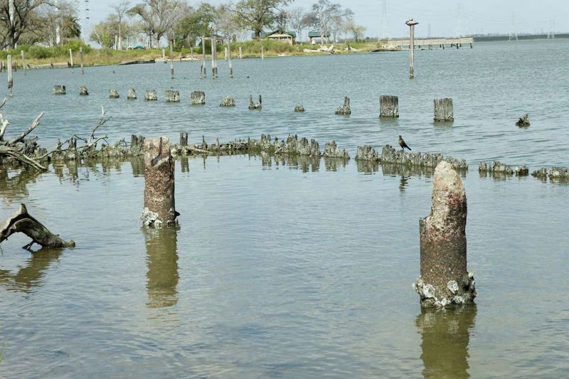 Baytown Nature Center – The Neighborhood Nature Reclaimed