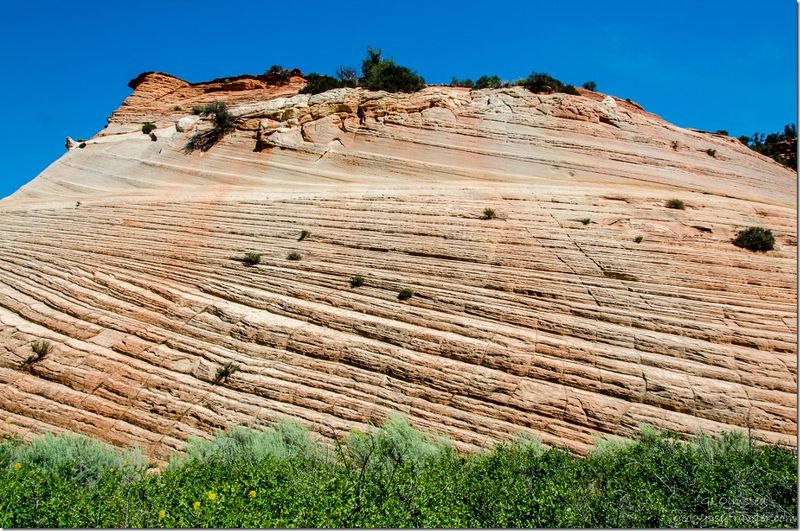 A Timeline Written in Sandstone