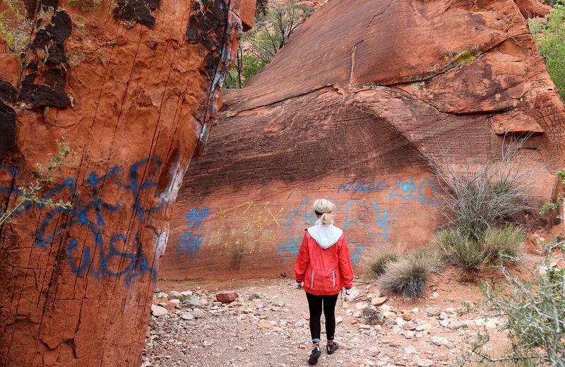 GraffitiAand Vandalism Scarring Natural Features