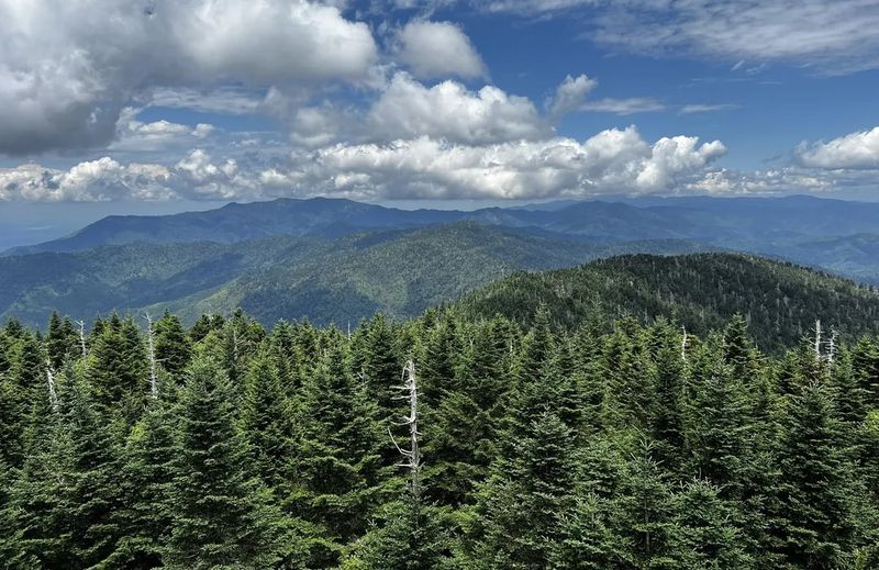 Surrounded by wilderness on all sides