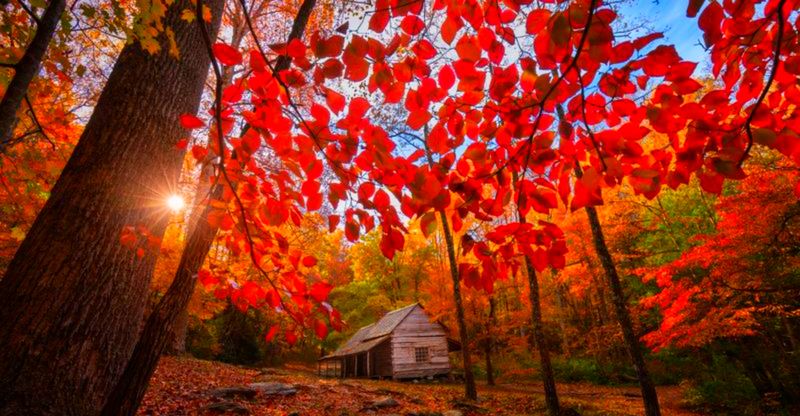 Seasonal Changes Create Ever-Evolving Beauty