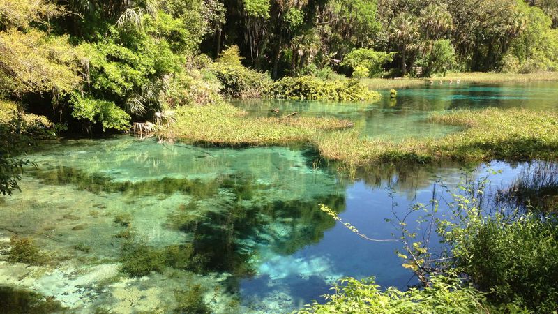 Rainbow Springs: Waterfall Wonderland Restored
