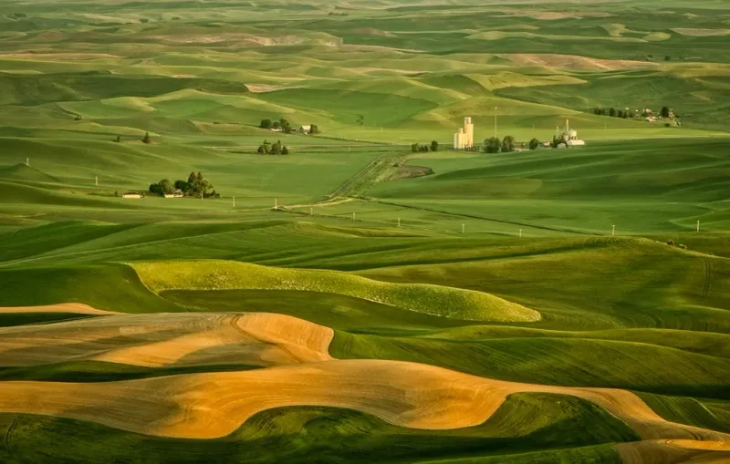 Steptoe Butte