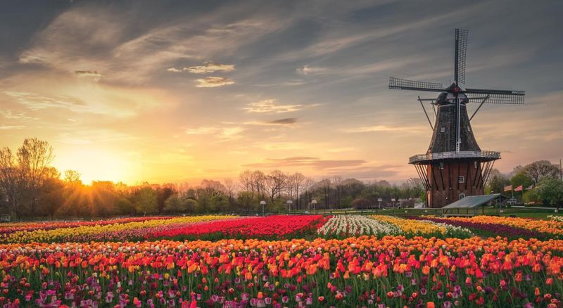Charming Small Towns With Big Personalities