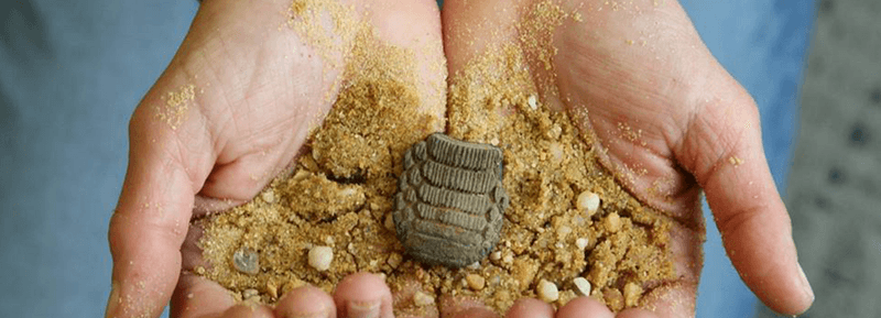 Roadside Souvenirs That Could Get You in Trouble