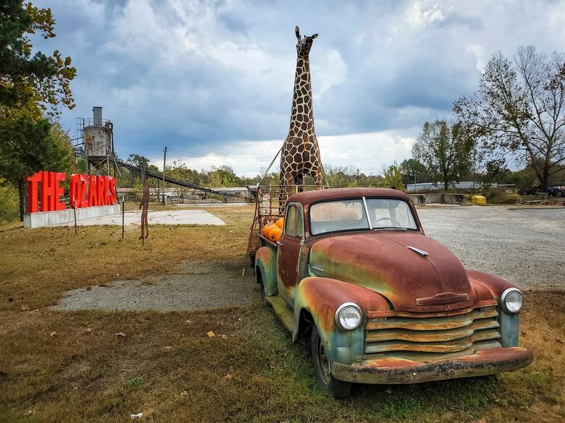 Unexpected Help During Travel Mishaps