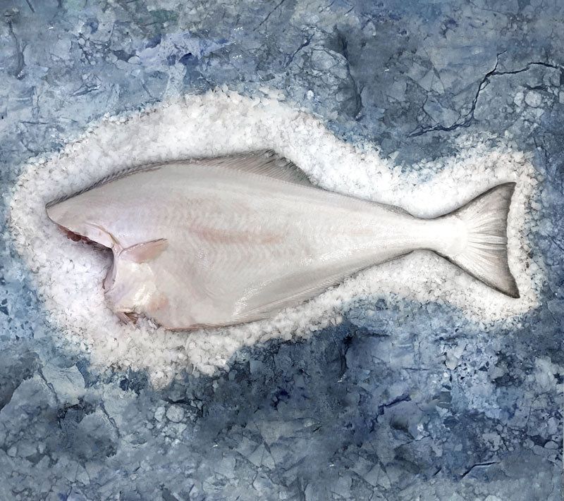 Fresh Halibut and Shellfish Selection