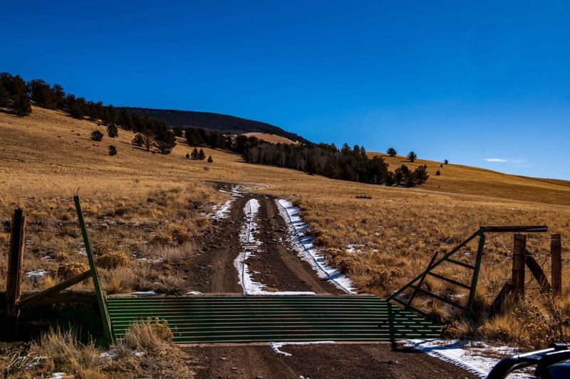 Off-roading on closed forest roads