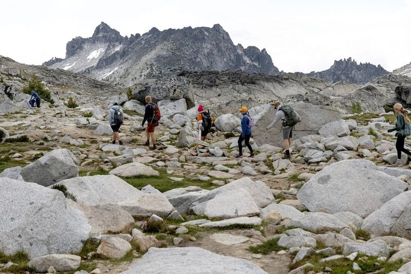 Illegal Camping Destroying Fragile Alpine Environments