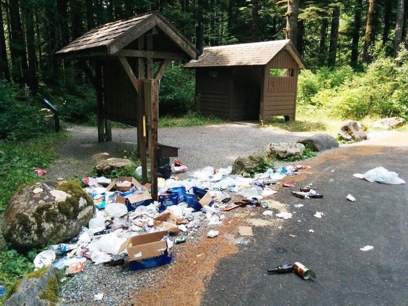 Litter Accumulation Along Popular Routes
