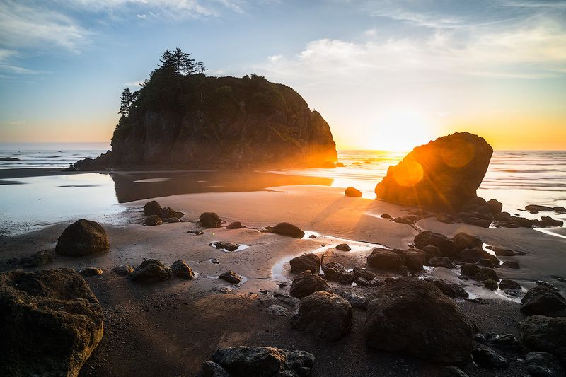 Taking Prohibited Natural Souvenirs