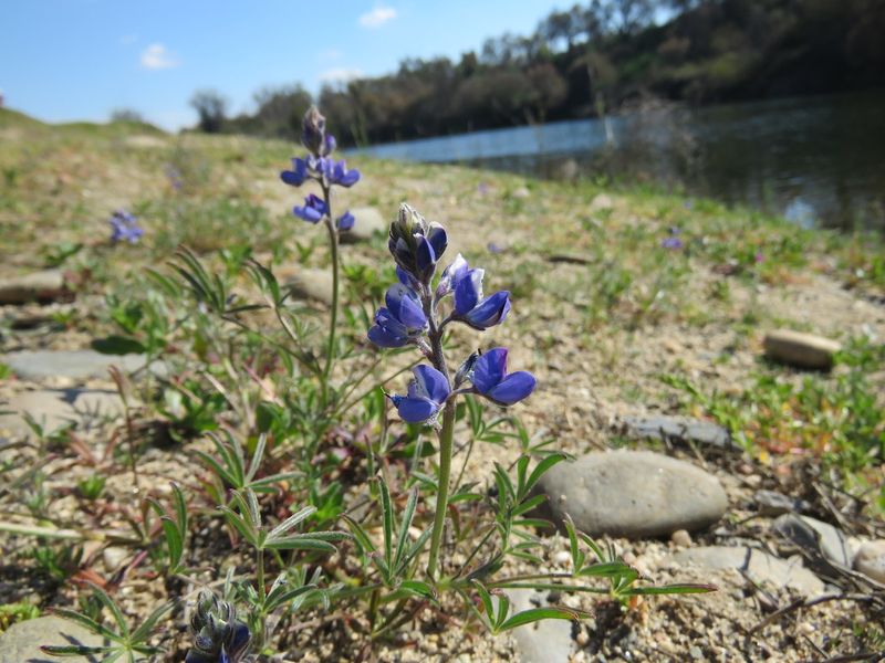 Ignorance Of Leave No Trace Ethics
