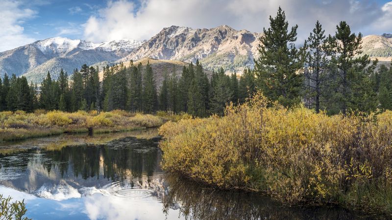 Year-Round Outdoor Options