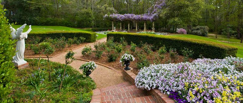 A Lingering Protector