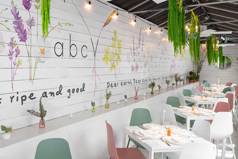 ABCV's Elevated Plant Paradise