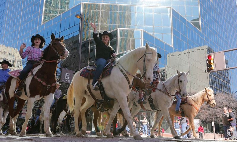 Traffic Laws Apply to Animal Riders