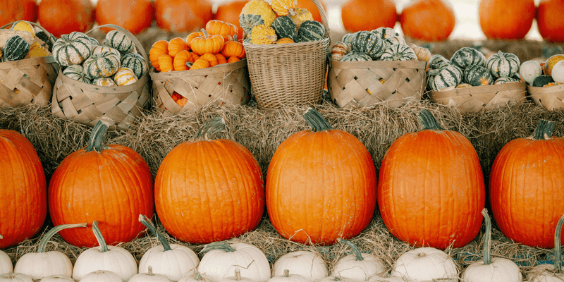 Artisan Food Stalls Serving Seasonal Treats