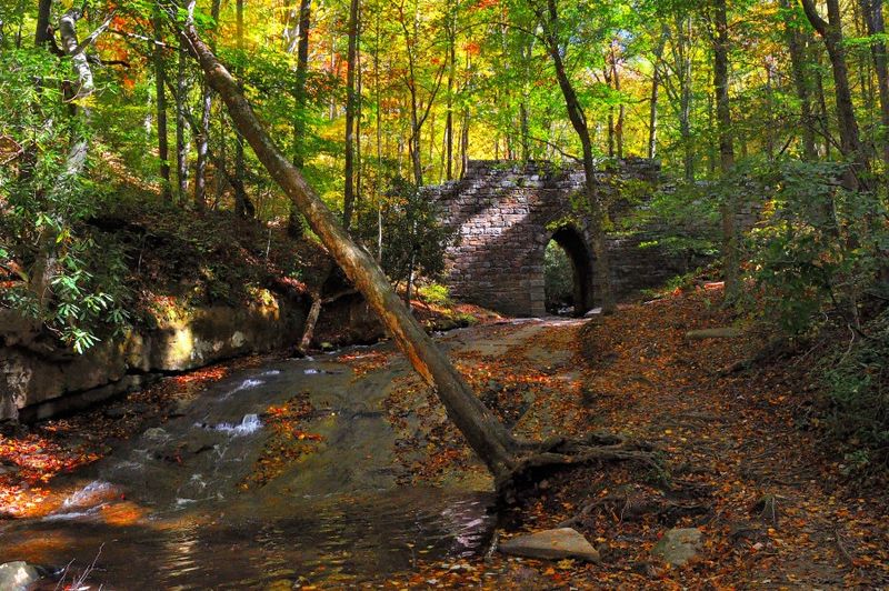 Poinsett Bridge: Stone Arch Over Little Gap Creek