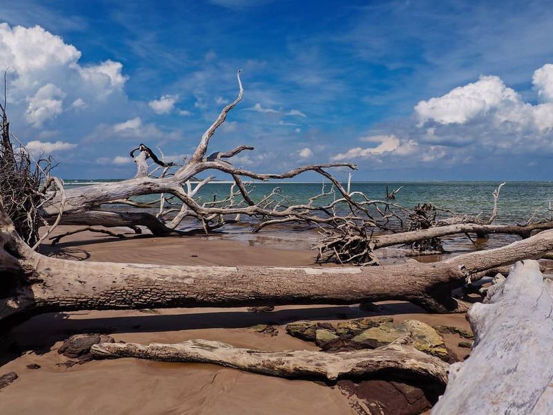 Boneyard Beach (Big Talbot Island State Park)