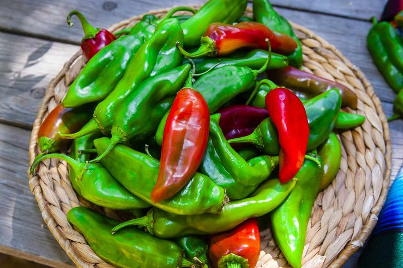 Green and Red Chile Cuisine