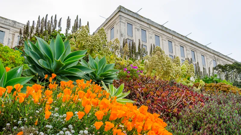 Visit the Gardens of Alcatraz