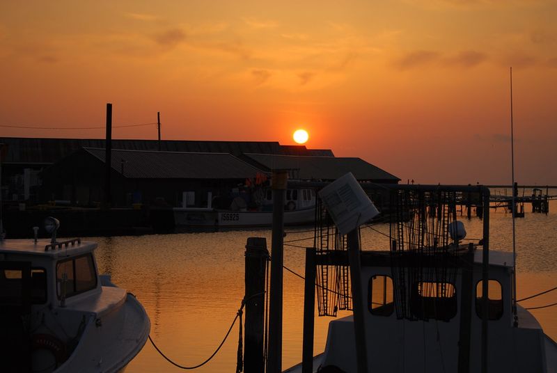 Crisfield