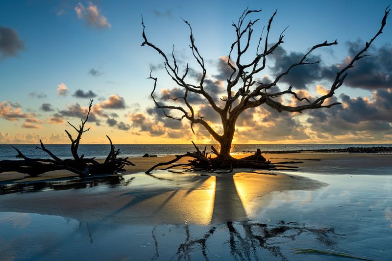 Jekyll Island