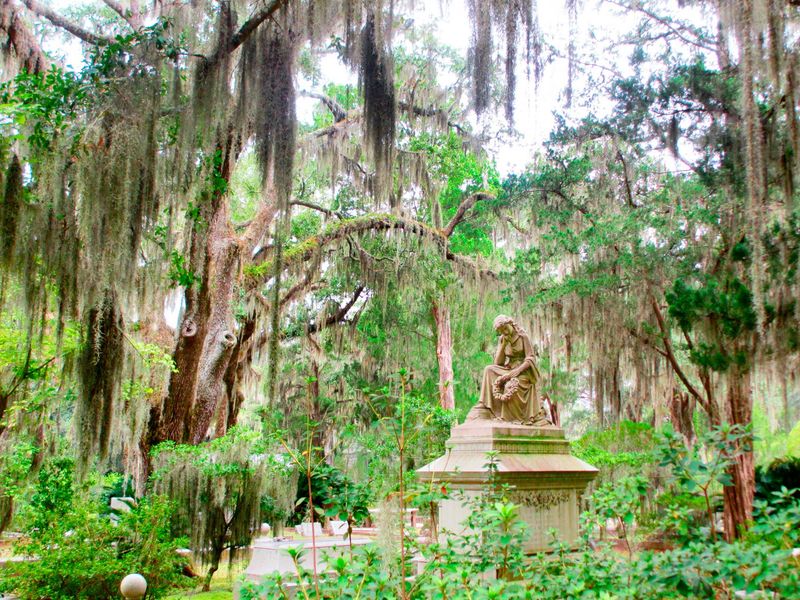 Why Visitors See It as More Than a Cemetery
