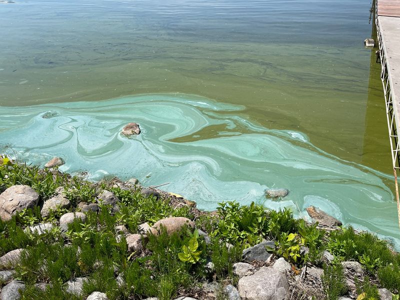 Water Quality Decline From Tourist Activity
