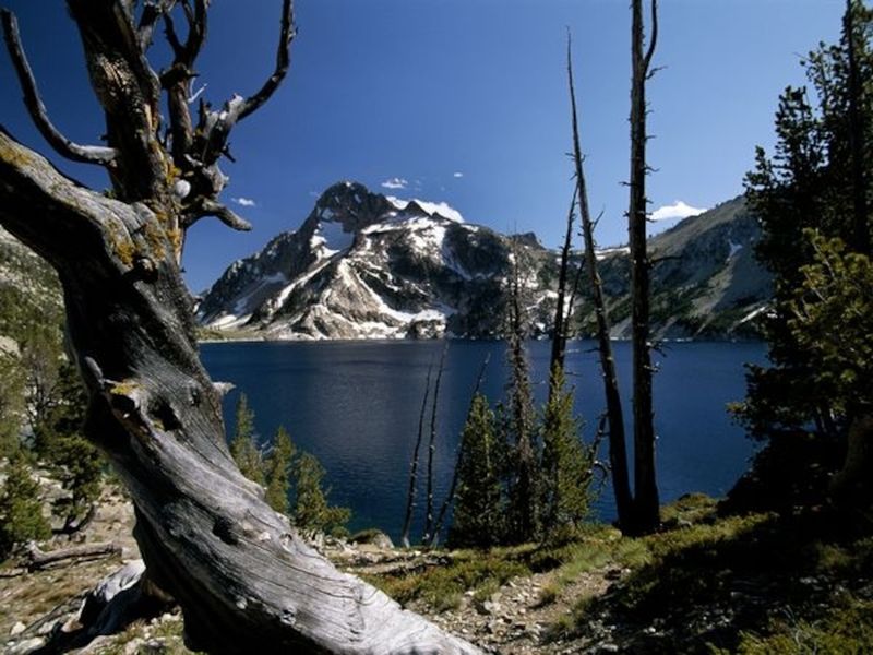 Lost Sense of Seclusion