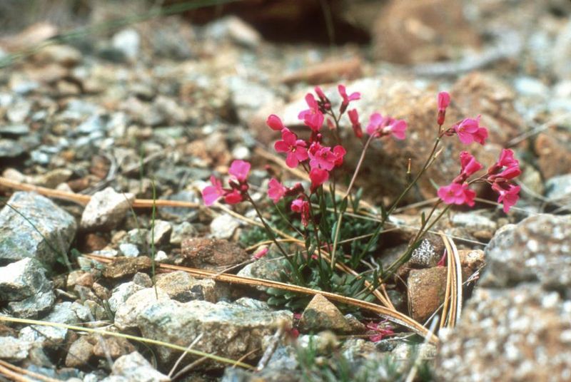 Fragile Habitat Vulnerability
