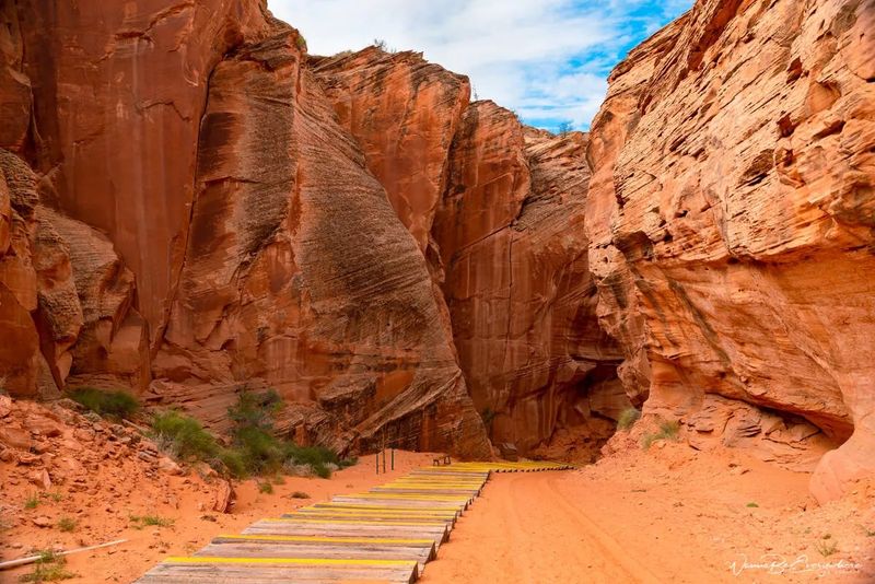 Seeking Alternatives Beyond Antelope