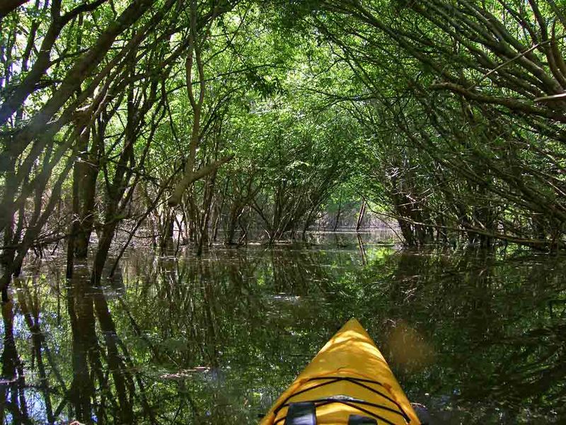 Abundant Outdoor Recreation