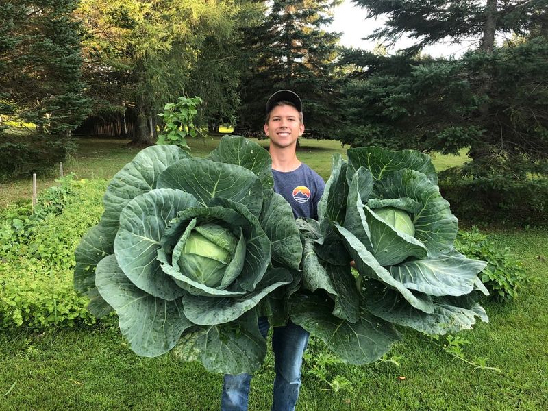 Gardening Produces