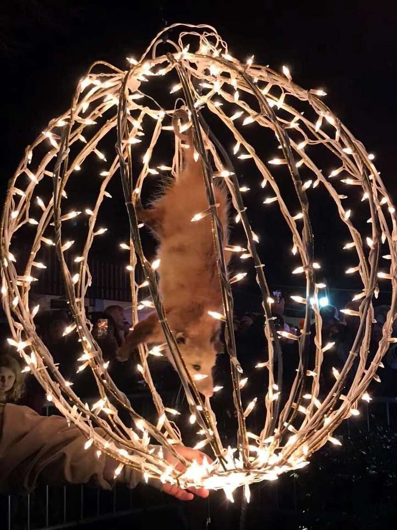 Tallapoosa – The Possum Drop