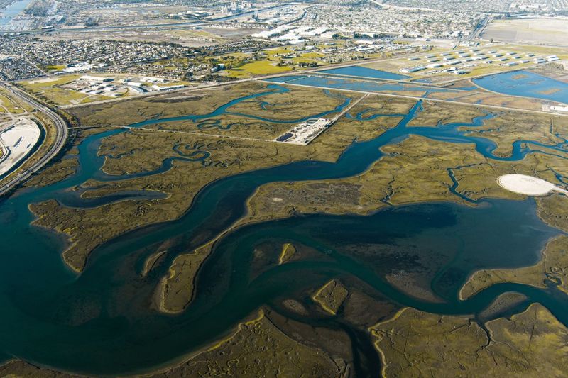 Seal Beach National Wildlife Refuge