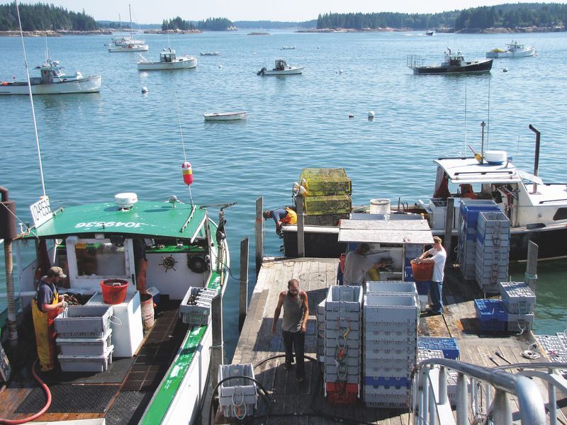 A Working Harbor That Tells Real Stories
