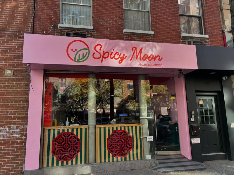 Spicy Moon's Szechuan Delights