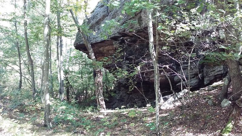 Historic Rock Shelters' Unwanted Visitors