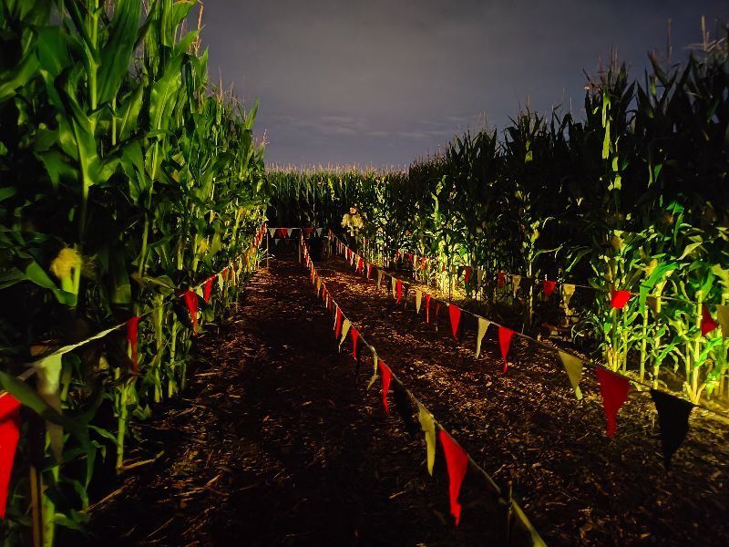 Discover a Perfect Blend of Fun and Fear